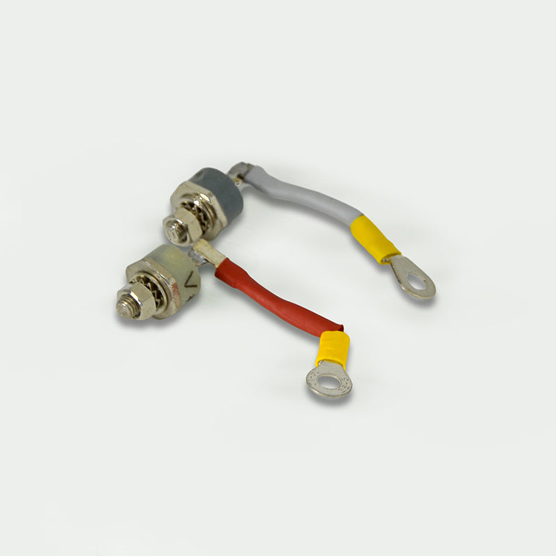Genpac Genuine Part-Genpac D82PF80-1320 Link Diode Positive is Compatible with Industrial Engines Models ( 250-600 KVA Leroy Somer Alternators) -Approx. Shipping Dimensions: Length(mm): 120 -Width(mm): 70 -Height (mm): 70 -Weight(Kg): 0.5 -Always use Genuine Parts to Protect your Engine